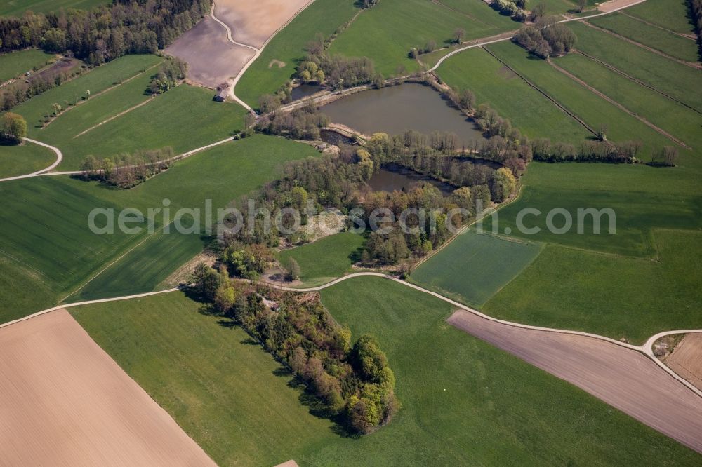 Bad Aibling from above - Island of trees in a field in Bad Aibling in the state Bavaria, Germany