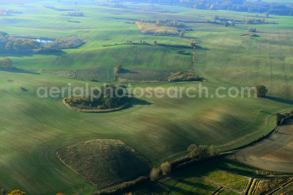 Ehrenhof from the bird's eye view: Island of trees in a field in Ehrenhof in the state Mecklenburg - Western Pomerania, Germany