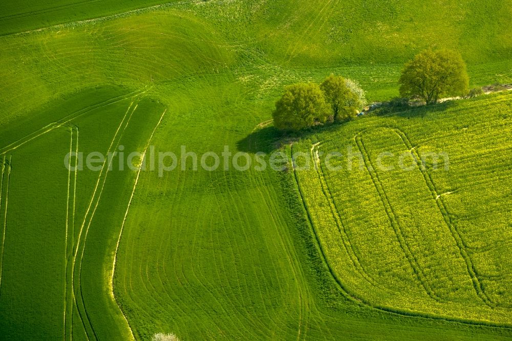 Aerial image Erkrath - Island of trees in a field in Erkrath in the state North Rhine-Westphalia