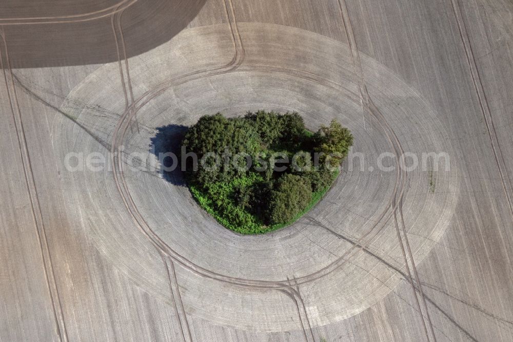 Insel Poel from above - Island of trees in a field on the Insel Poel at the baltic coast in the state Mecklenburg - Western Pomerania, Germany