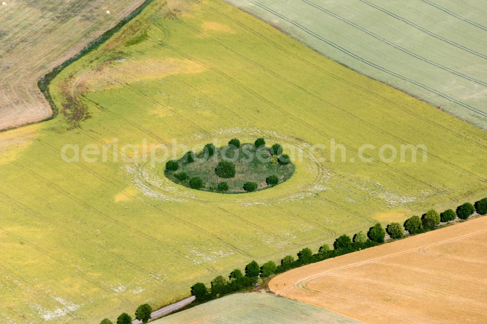 Aerial photograph Krakow am See - Island of trees in a field in Krakow am See in the state Mecklenburg - Western Pomerania, Germany