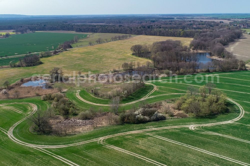 Steinhöfel from the bird's eye view: Island of trees in a field in Steinhoefel in the state Brandenburg, Germany