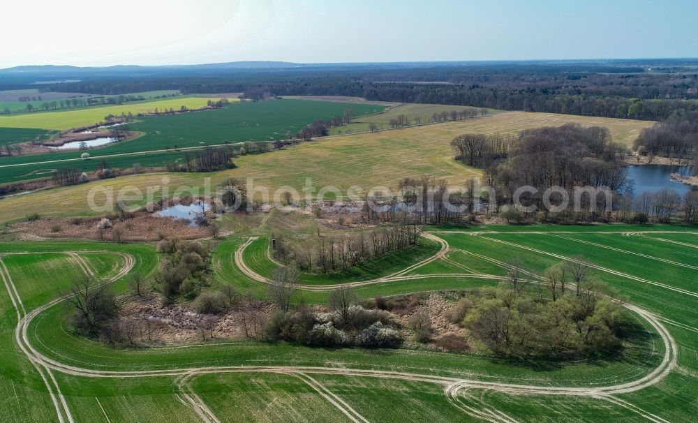 Aerial image Steinhöfel - Island of trees in a field in Steinhoefel in the state Brandenburg, Germany