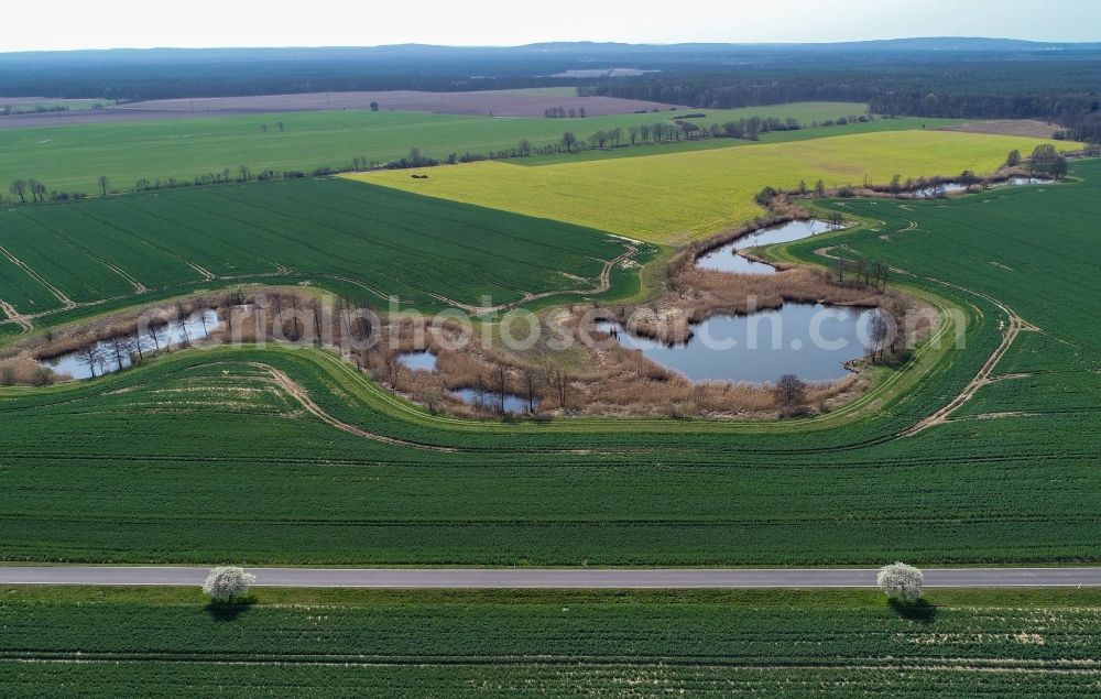 Steinhöfel from above - Island of trees in a field in Steinhoefel in the state Brandenburg, Germany