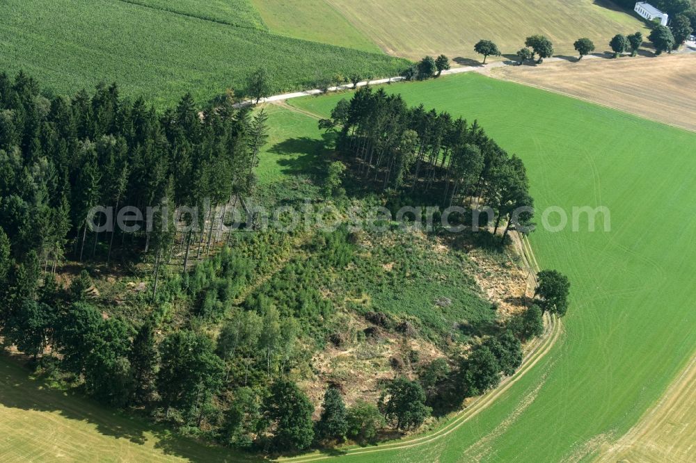 Stollberg/Erzgeb. from above - Island of trees in a field in Stollberg/Erzgeb. in the state Saxony