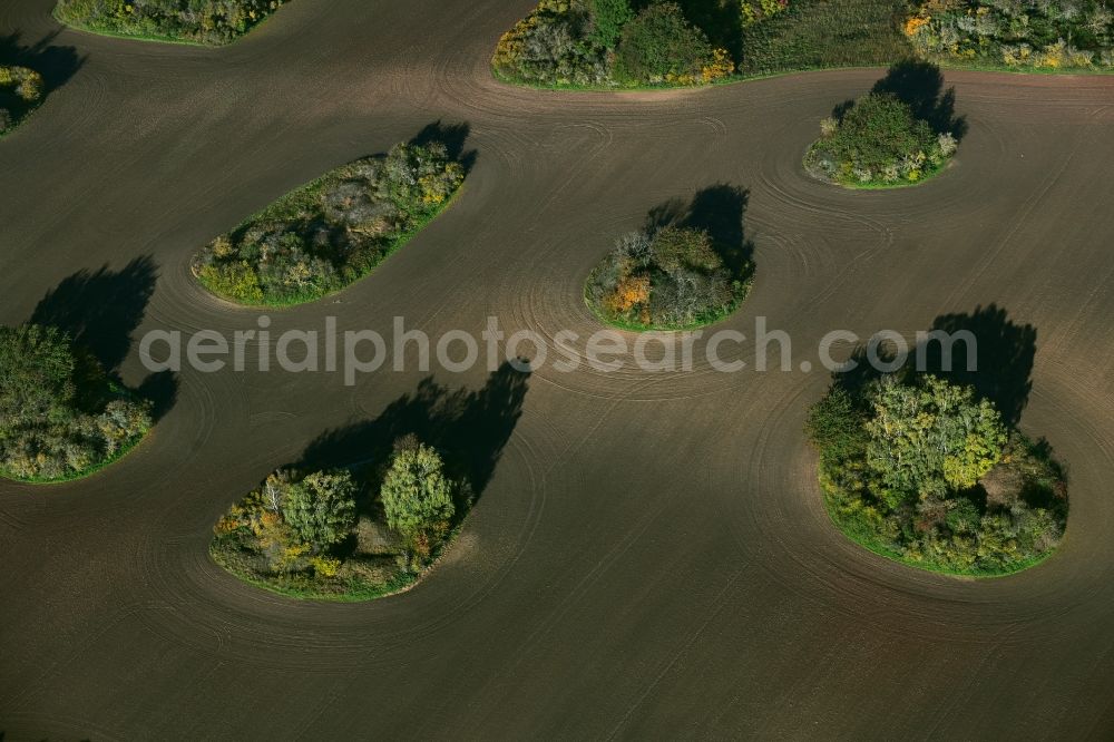 Aerial image Wimmelburg - Island of trees in a field in Wimmelburg in the state Saxony-Anhalt, Germany