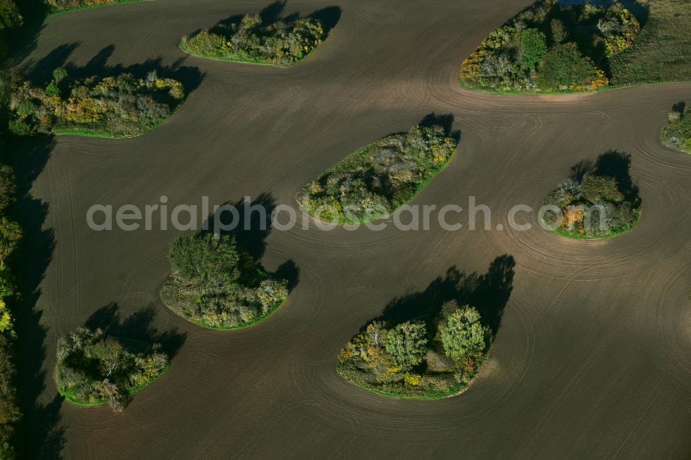 Aerial photograph Wimmelburg - Island of trees in a field in Wimmelburg in the state Saxony-Anhalt, Germany