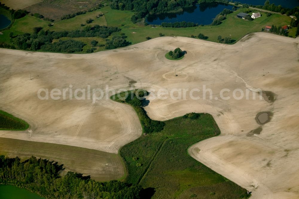 Aerial image Murchin - Island of trees in a Getreide- field at Lentschow in Murchin in the state Mecklenburg - Western Pomerania, Germany