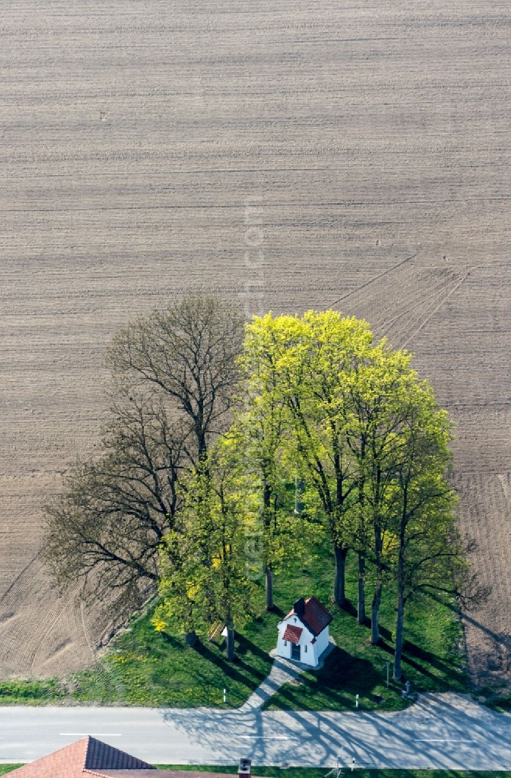 Aerial photograph Velden - Tree island with the chapel of St. Barbara in Hofbruck on a field in Velden in Bavaria