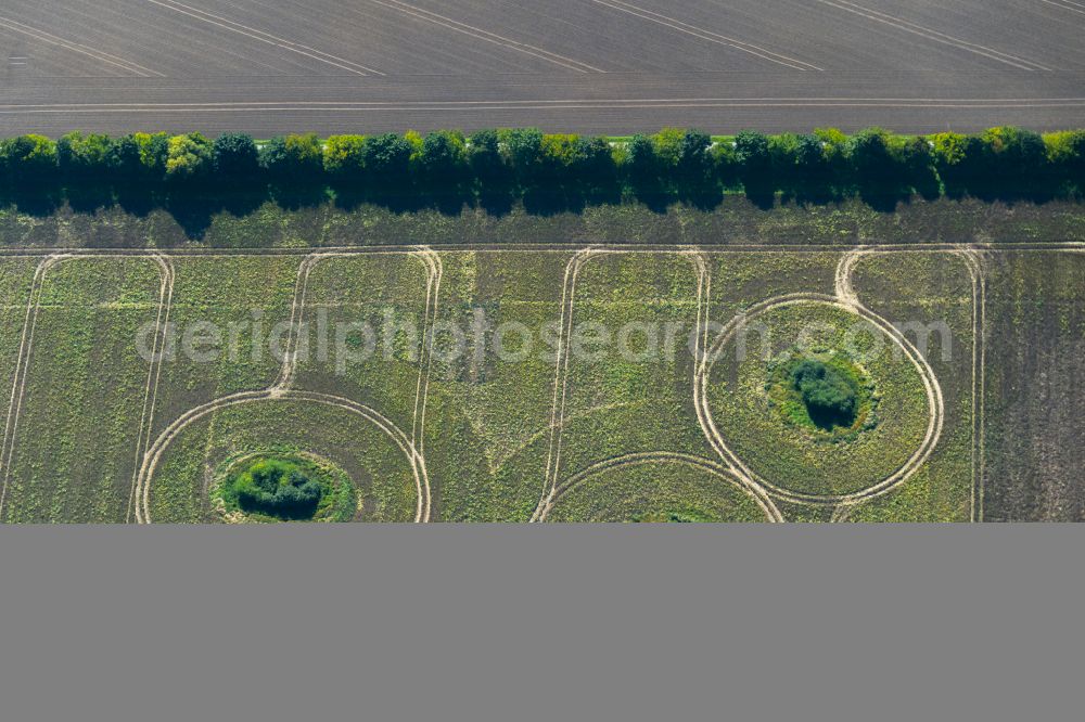 Neuenpleen from the bird's eye view: Islands of trees in a field in Neuenpleen in the state Mecklenburg - Western Pomerania, Germany