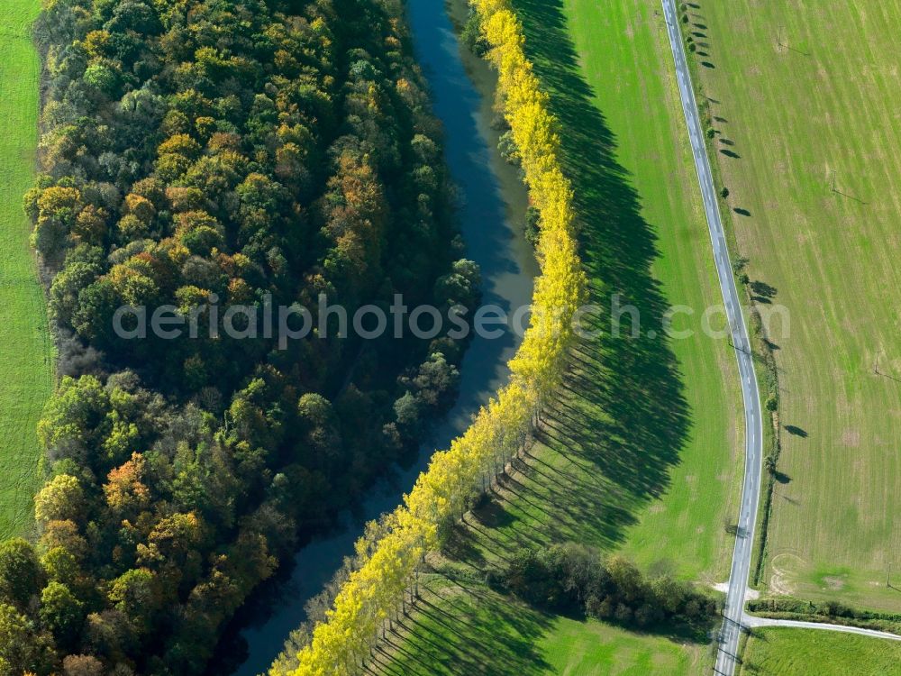 Freitagszella from above - Tree - Series - Landscape with field - structures along the banks of the River Werra near Freitagszella in Thuringia