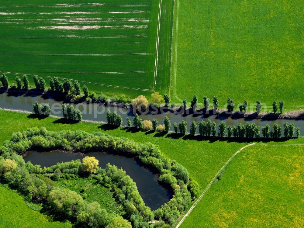 Freitagszella from above - Tree - Series - Landscape with field - structures along the banks of the River Werra near Freitagszella in Thuringia