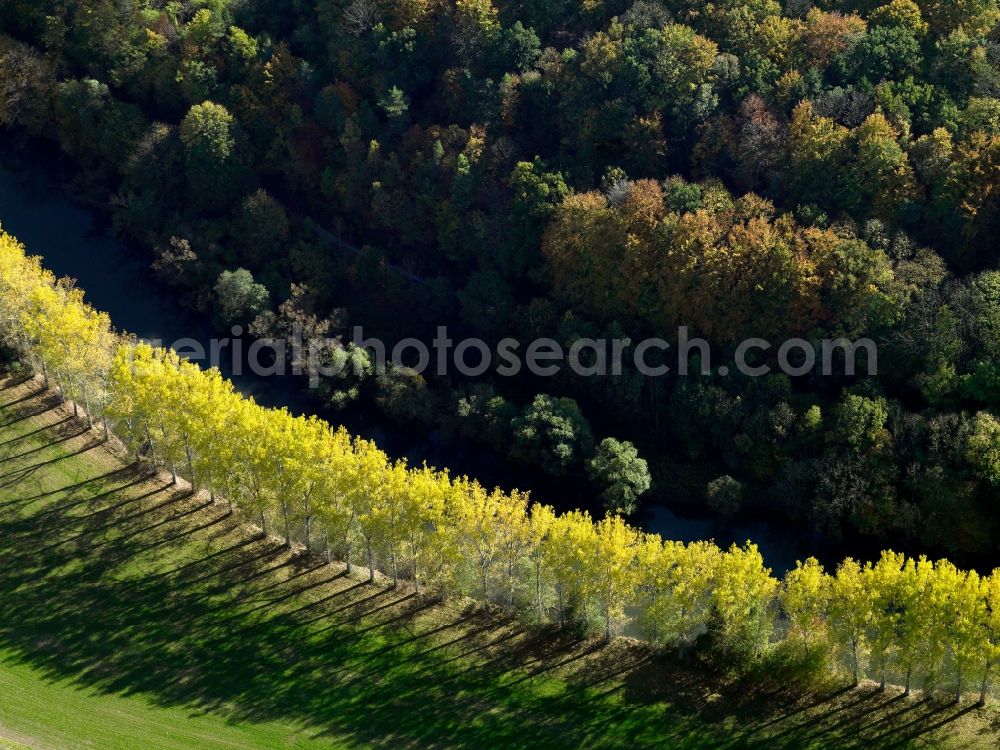 Freitagszella from the bird's eye view: Tree - Series - Landscape with field - structures along the banks of the River Werra near Freitagszella in Thuringia