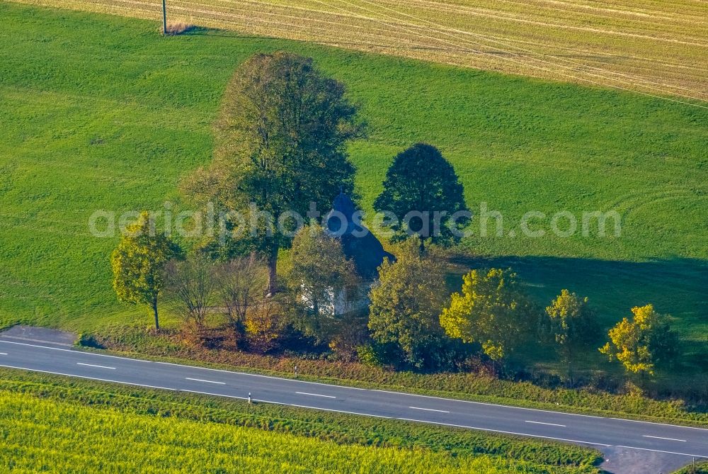 Meschede from the bird's eye view: Tree with shadow forming by light irradiation on a field in Meschede in the state North Rhine-Westphalia, Germany