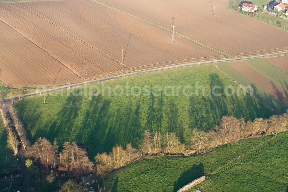 Aerial image Wörth am Rhein - Tree with shadow forming by light irradiation on a field in Woerth am Rhein in the state Rhineland-Palatinate