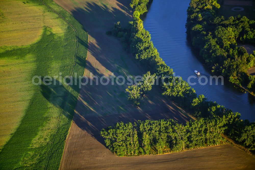 Aerial image Salzmünde - Tree with shadow formation due to light radiation on the river Saale in Salzmuende in the state Saxony-Anhalt, Germany