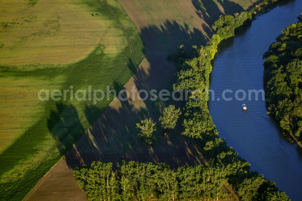 Aerial photograph Salzmünde - Tree with shadow formation due to light radiation on the river Saale in Salzmuende in the state Saxony-Anhalt, Germany