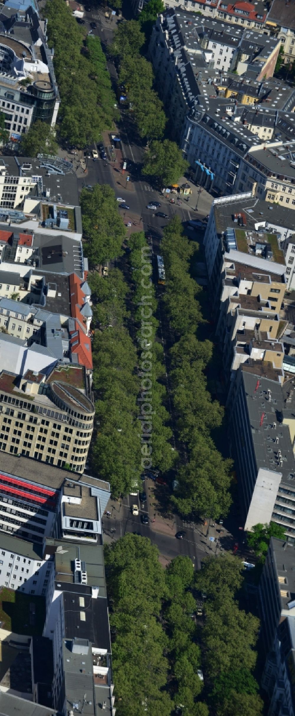 Berlin Wilmersdorf from above - Tree - Vegetation on the Avenue of the Kurfuerstendamm- Kudamm in Charlottenburg in Berlin