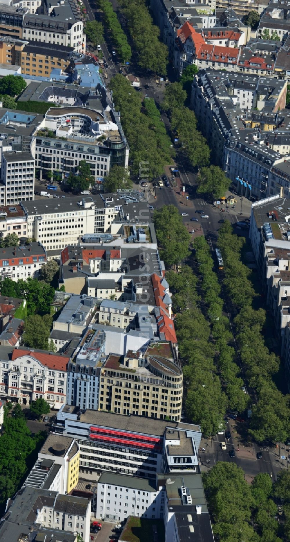 Berlin Wilmersdorf from the bird's eye view: Tree - Vegetation on the Avenue of the Kurfuerstendamm- Kudamm in Charlottenburg in Berlin