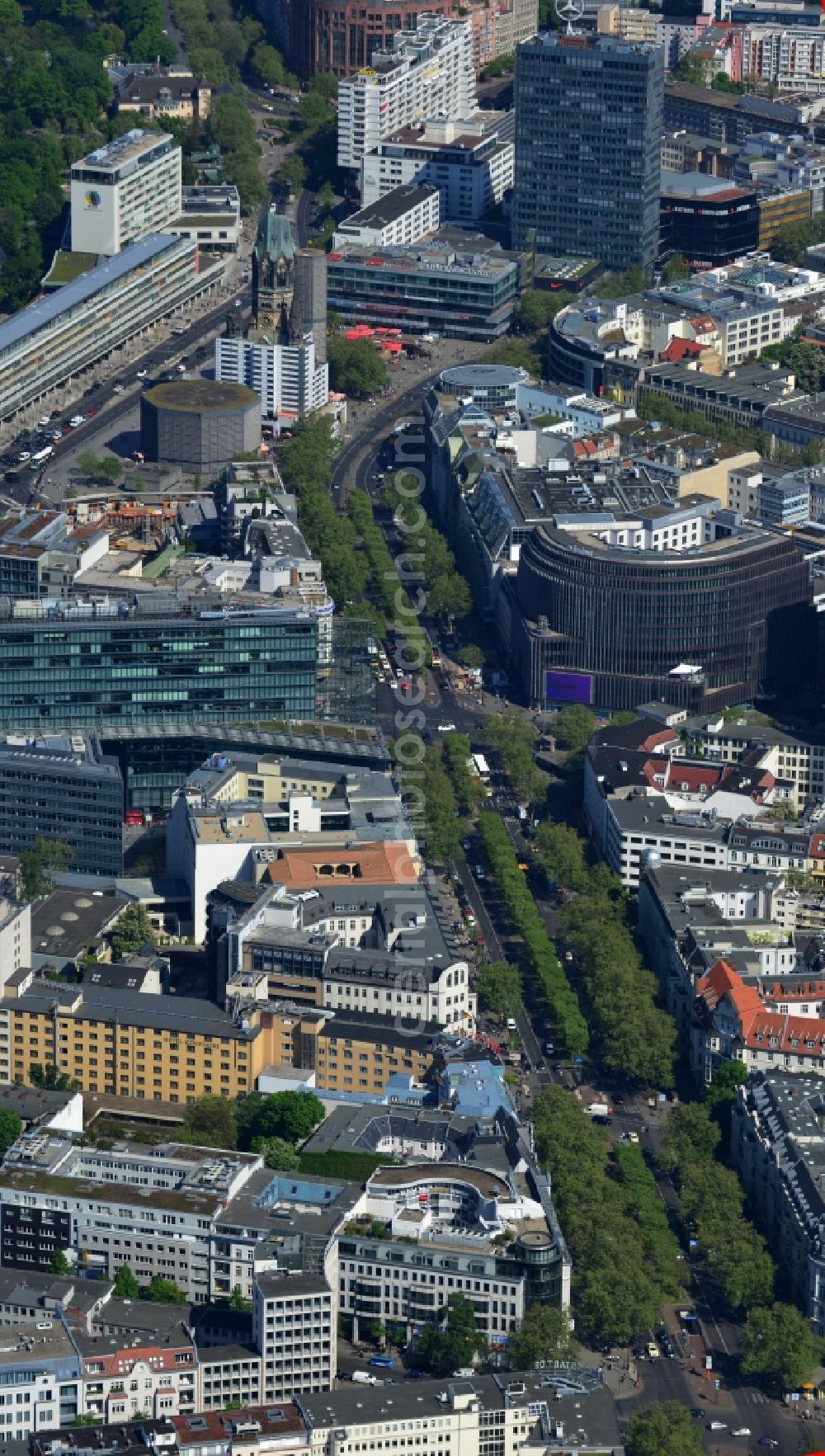 Aerial image Berlin Wilmersdorf - Tree - Vegetation on the Avenue of the Kurfuerstendamm- Kudamm in Charlottenburg in Berlin