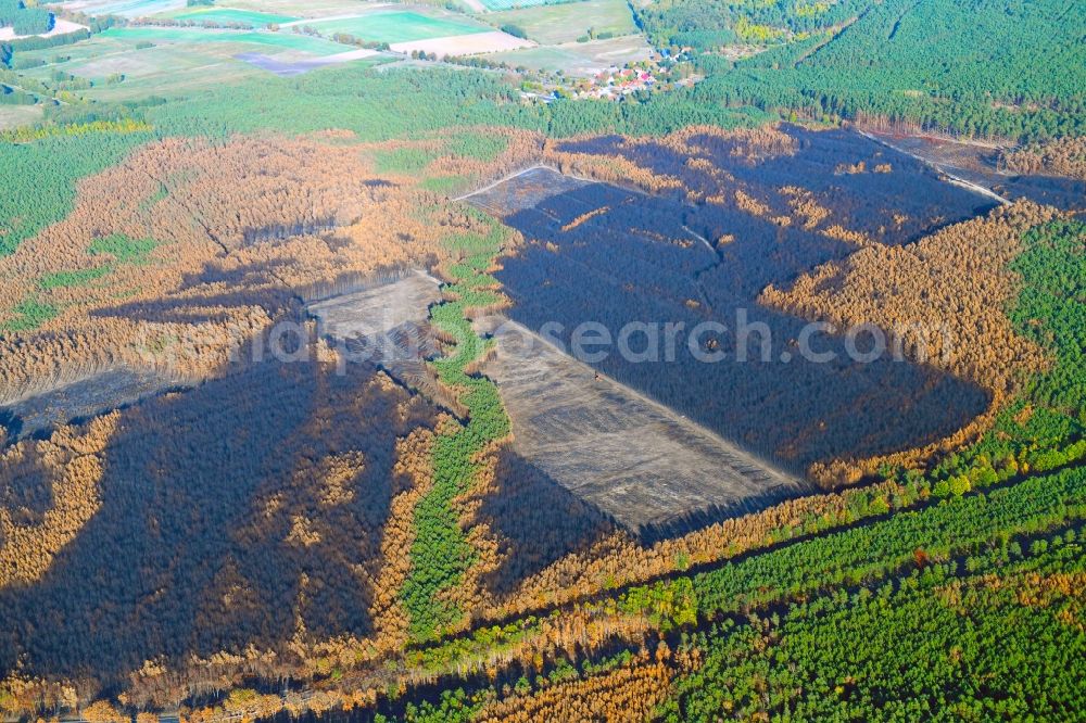 Klausdorf from above - Damage by the Great Fire - destroyed forest fire tree population in a wooded area - forest terrain in Klausdorf in the state Brandenburg, Germany