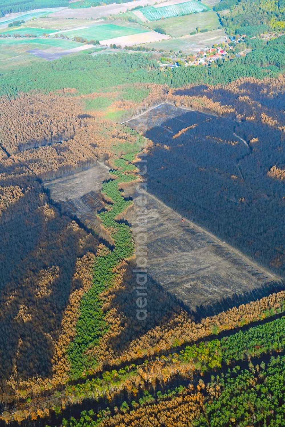 Klausdorf from the bird's eye view: Damage by the Great Fire - destroyed forest fire tree population in a wooded area - forest terrain in Klausdorf in the state Brandenburg, Germany