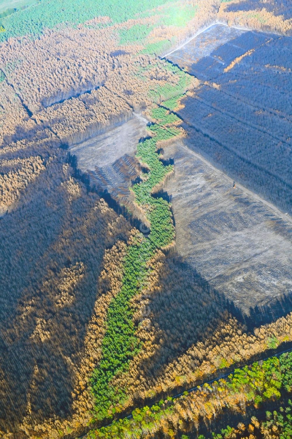 Aerial image Klausdorf - Damage by the Great Fire - destroyed forest fire tree population in a wooded area - forest terrain in Klausdorf in the state Brandenburg, Germany