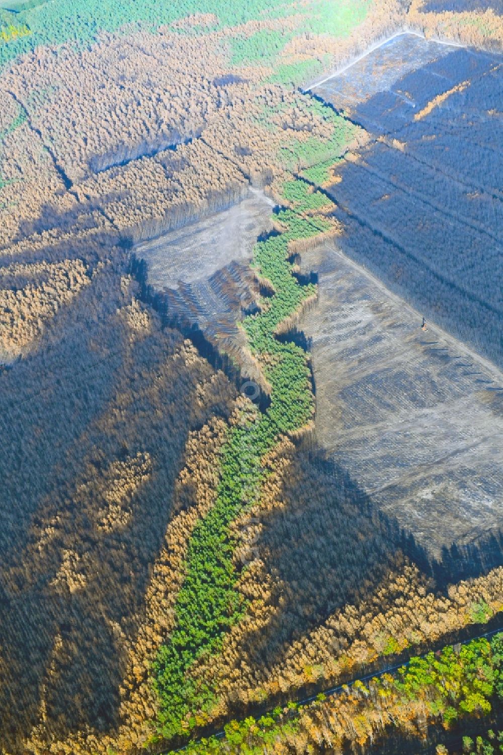 Aerial photograph Klausdorf - Damage by the Great Fire - destroyed forest fire tree population in a wooded area - forest terrain in Klausdorf in the state Brandenburg, Germany