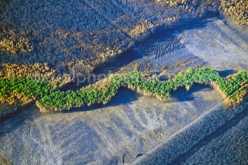 Klausdorf from above - Damage by the Great Fire - destroyed forest fire tree population in a wooded area - forest terrain in Klausdorf in the state Brandenburg, Germany