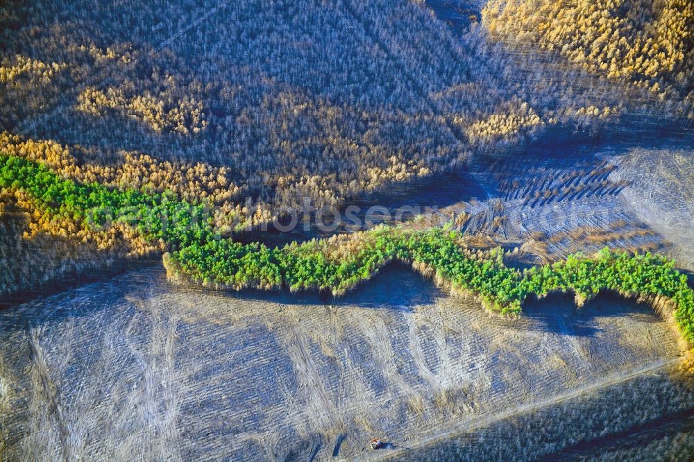 Klausdorf from the bird's eye view: Damage by the Great Fire - destroyed forest fire tree population in a wooded area - forest terrain in Klausdorf in the state Brandenburg, Germany