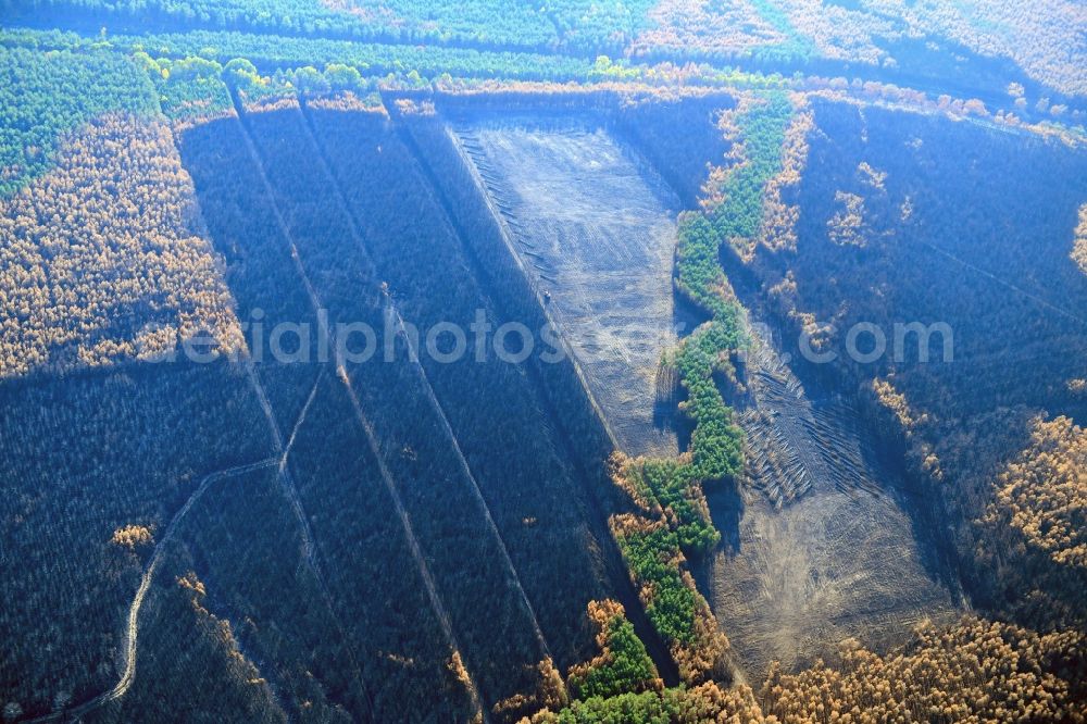 Aerial image Klausdorf - Damage by the Great Fire - destroyed forest fire tree population in a wooded area - forest terrain in Klausdorf in the state Brandenburg, Germany