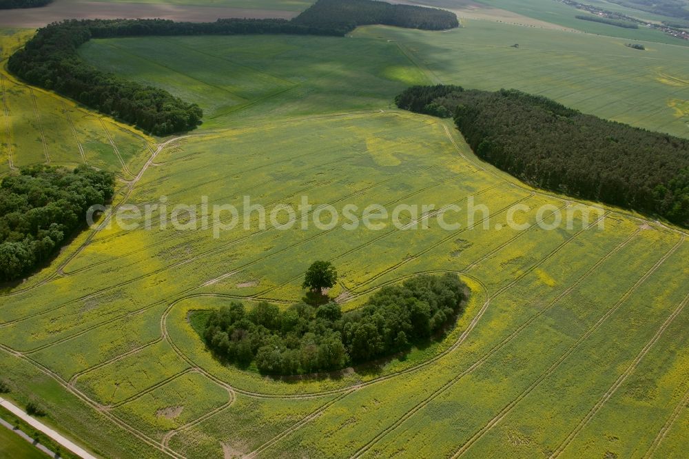 Aerial photograph Gotthun - Trees in the field in Gotthun in the state of Mecklenburg-Vorpommern. The field is located east of the village Gotthun around 2 km Distance (air line)