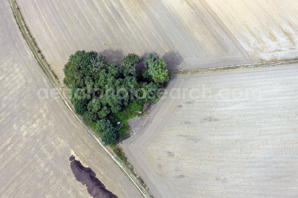 Aerial image Datteln - View of a heart-shaped cluster of trees in fields in dates in North Rhine-Westphalia