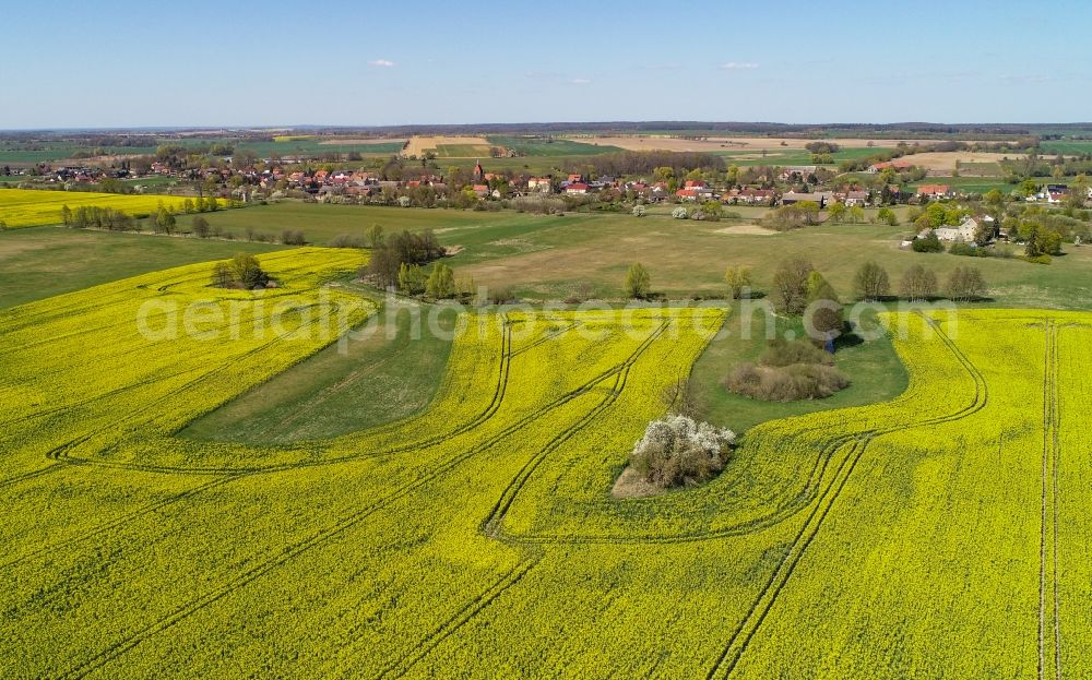 Aerial image Arensdorf - Grove of trees as a nature conservation oasis in the midst of a field landscape of yellow rapeseed flowers in Arensdorf in the state Brandenburg, Germany