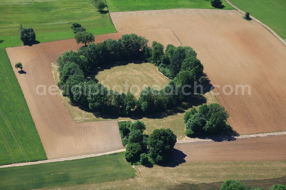 Aerial photograph Maulburg - Overlooking the Tree Circle in Maulburg in Baden-Wuerttemberg. Not the Celts, but remnants of the Second World War have created this tree circle in Maulburg. On the mountain ridge of the Dinkelberg between the southern Black Forest and the Swiss border in the last years of the war a radio direction finding station with a large rotating directional antenna was installed. It was used for aircraft positioning. After the war the plant was dismantled, but the circular foundation not completely. Meanwhile bushes and trees have grown as a circular wood from the remains of the foundation