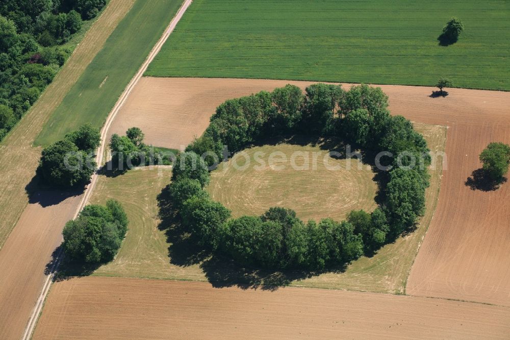 Aerial image Maulburg - Overlooking the Tree Circle in Maulburg in Baden-Wuerttemberg. Not the Celts, but remnants of the Second World War have created this tree circle in Maulburg. On the mountain ridge of the Dinkelberg between the southern Black Forest and the Swiss border in the last years of the war a radio direction finding station with a large rotating directional antenna was installed. It was used for aircraft positioning. After the war the plant was dismantled, but the circular foundation not completely. Meanwhile bushes and trees have grown as a circular wood from the remains of the foundation