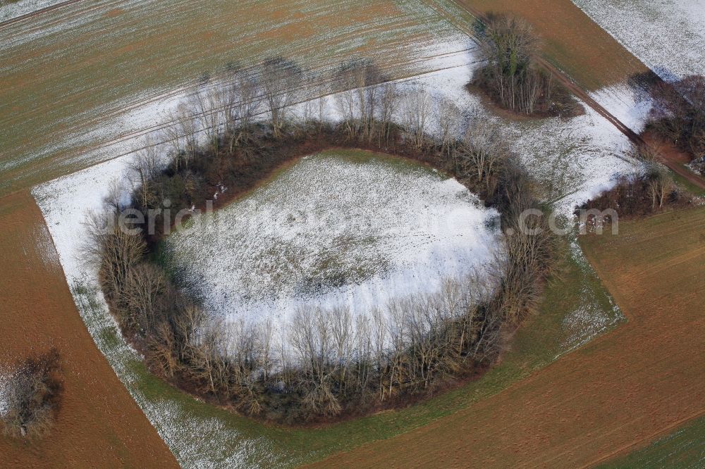 Aerial image Maulburg - Overlooking the Tree Circle in Maulburg in Baden-Wuerttemberg. Not the Celts, but remnants of the Second World War have created this tree circle in Maulburg. On the mountain ridge of the Dinkelberg in the last years of the war a radio direction finding station with a large rotating directional antenna was installed. It was used for aircraft positioning. After the war the plant was dismantled, but the circular foundation not completely. Meanwhile bushes and trees have grown as a circular wood from the remains of the foundation