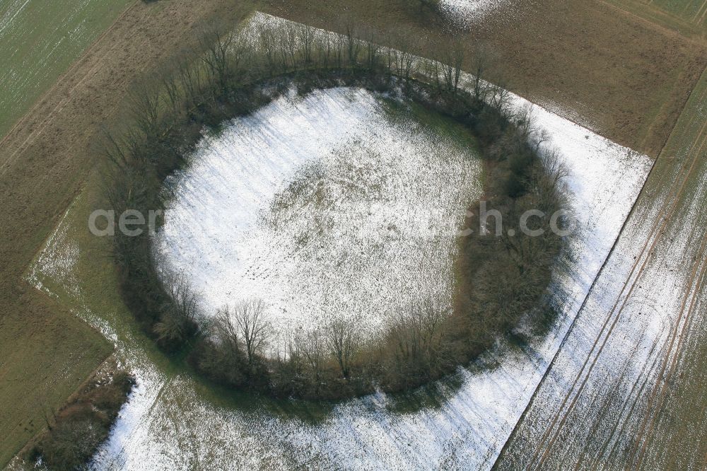 Maulburg from above - Overlooking the Tree Circle in Maulburg in Baden-Wuerttemberg. Not the Celts, but remnants of the Second World War have created this tree circle in Maulburg. On the mountain ridge of the Dinkelberg in the last years of the war a radio direction finding station with a large rotating directional antenna was installed. It was used for aircraft positioning. After the war the plant was dismantled, but the circular foundation not completely. Meanwhile bushes and trees have grown as a circular wood from the remains of the foundation