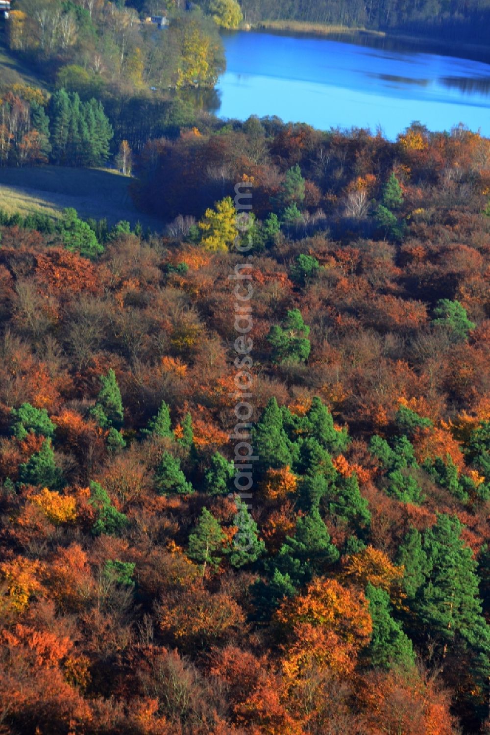 Aerial image Godendorf - Brightly colored autumn trees landscape in Godendorf in Mecklenburg - Western Pomerania