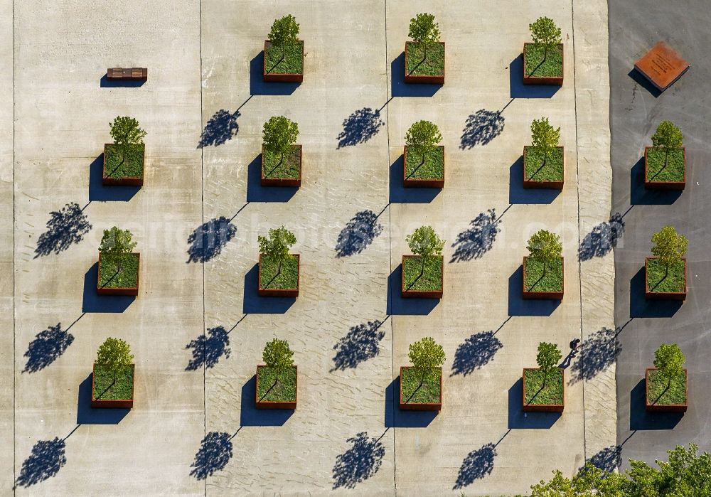 Aerial photograph Duisburg - Lined up tree boxes on the Bahnhofsplatte in front of Duisburg main station in the state North Rhine-Westphalia