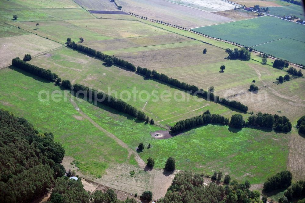 Beelitz from above - Row of trees in a field edge in Beelitz in the state Brandenburg, Germany