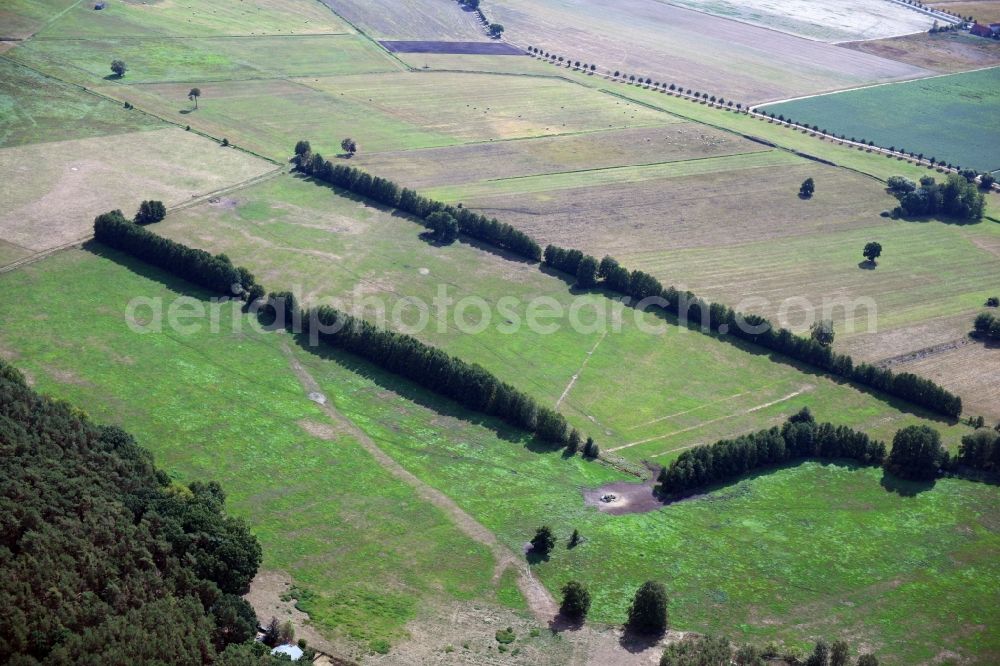 Beelitz from above - Row of trees in a field edge in Beelitz in the state Brandenburg, Germany