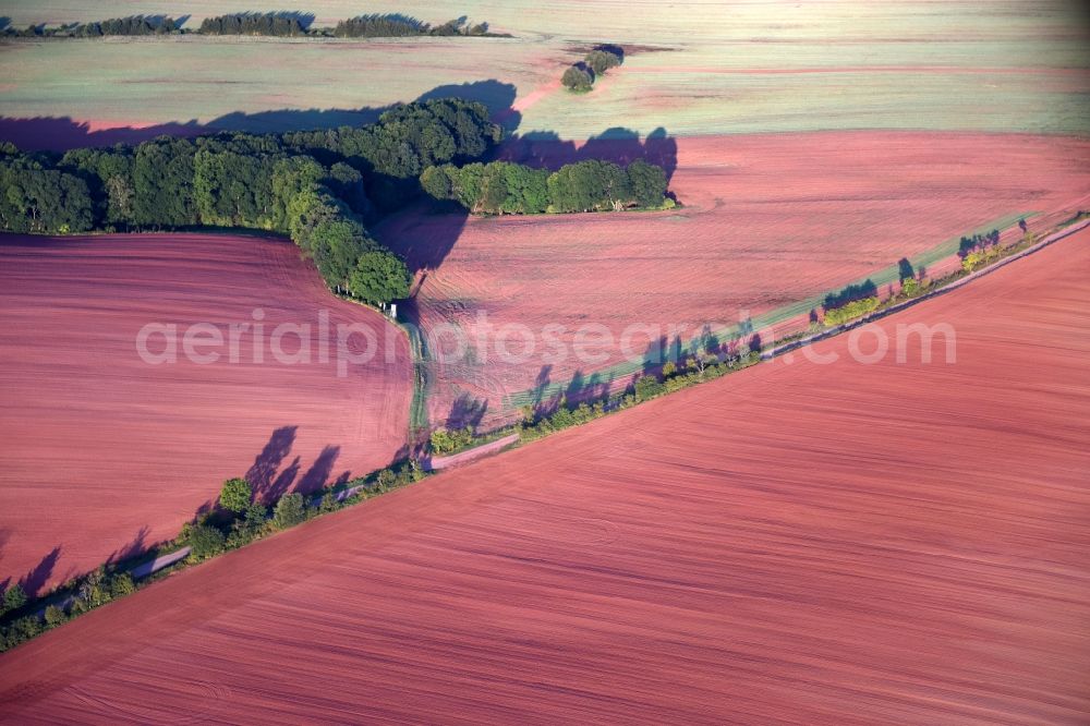 Aerial image Hochstedt - Row of trees in a field edge in Hochstedt in the state Thuringia, Germany