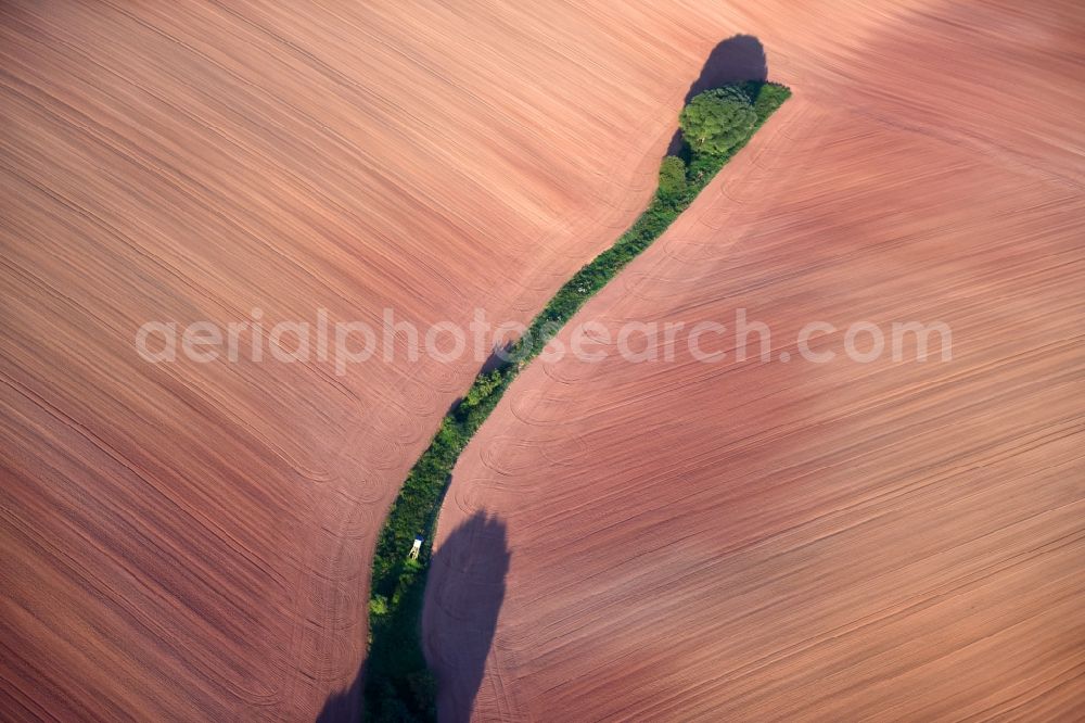 Aerial image Hochstedt - Row of trees in a field edge in Hochstedt in the state Thuringia, Germany