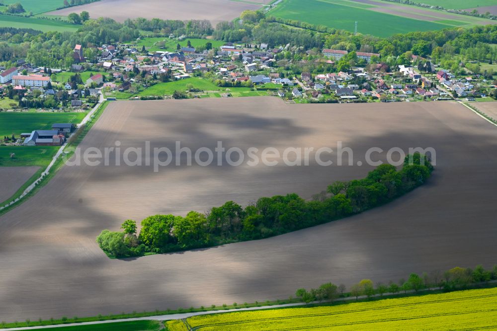 Iden from above - Row of trees in a field edge in Iden in the state Saxony-Anhalt, Germany