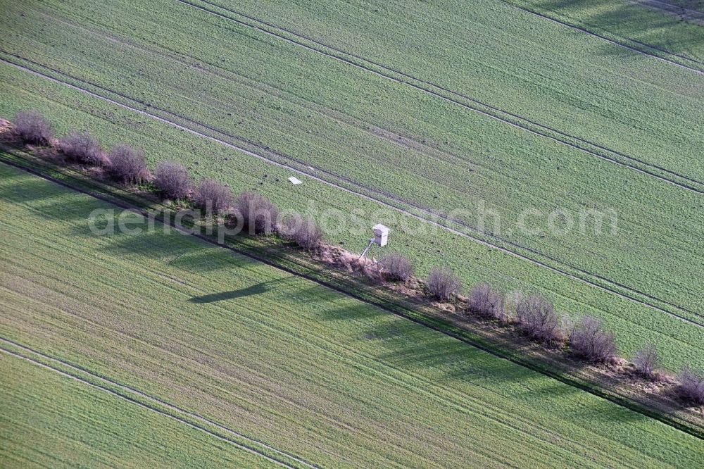 Aerial photograph Krostitz - Row of trees and digging in a field edge in Krostitz in the state Saxony