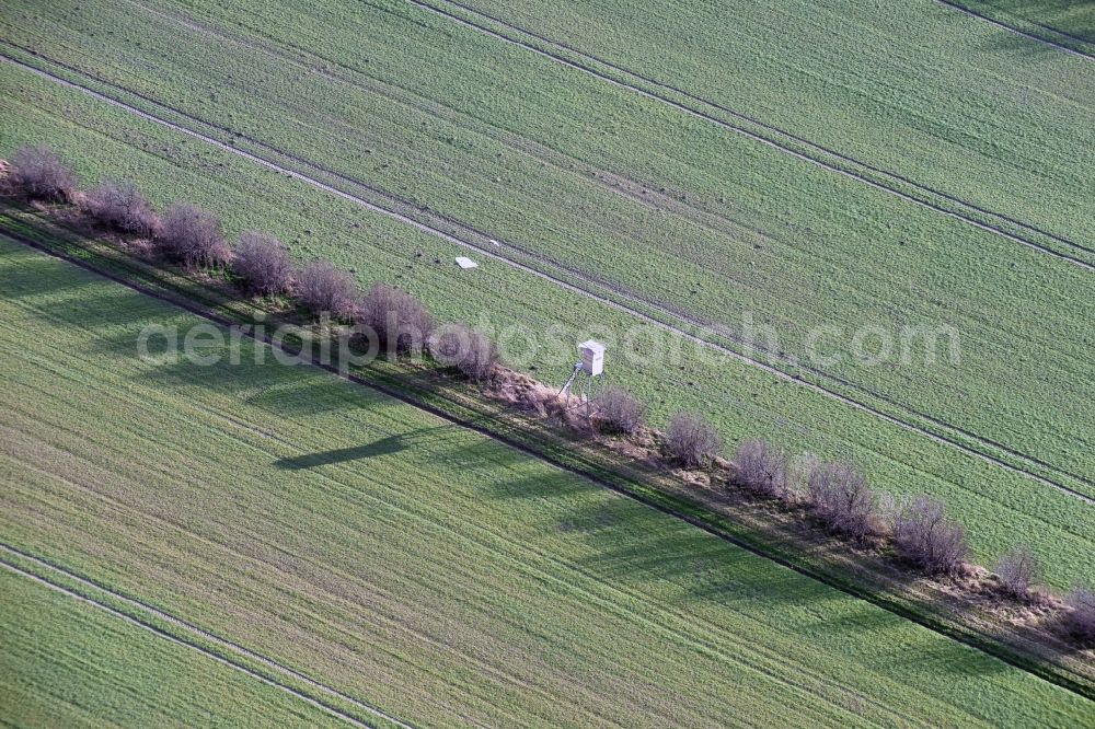 Krostitz from above - Row of trees and digging in a field edge in Krostitz in the state Saxony