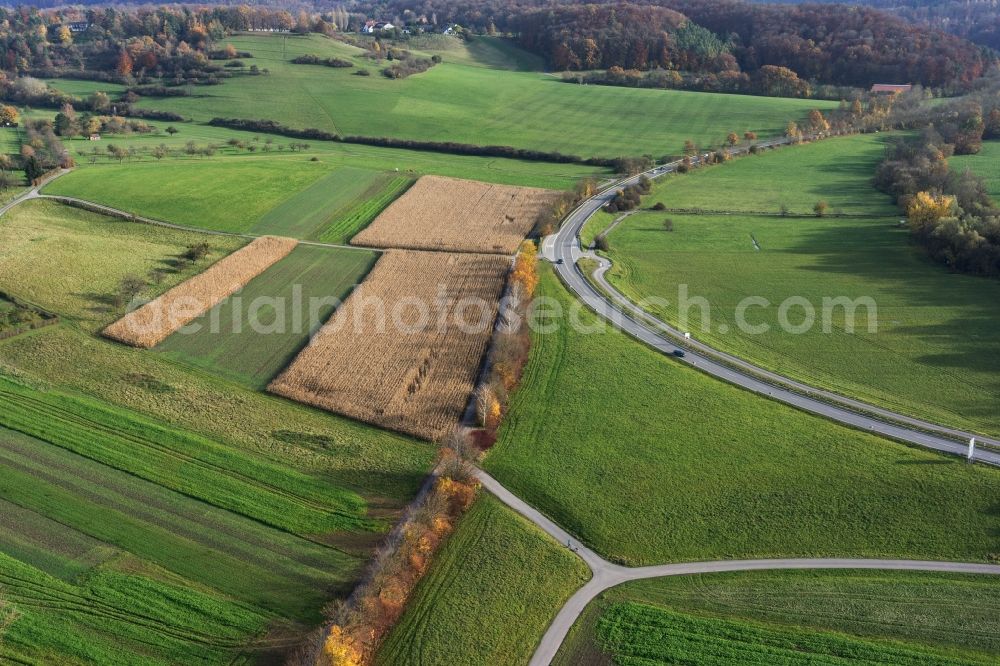 Aerial image Leonberg - Row of trees and digging in a field edge in Leonberg in the state Baden-Wuerttemberg