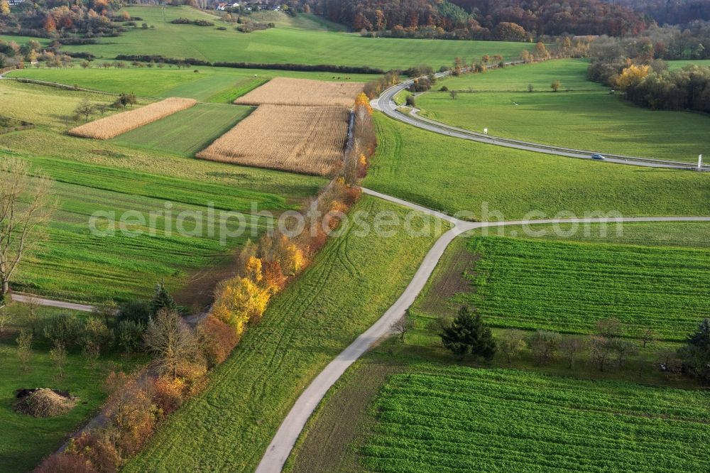 Leonberg from the bird's eye view: Row of trees and digging in a field edge in Leonberg in the state Baden-Wuerttemberg