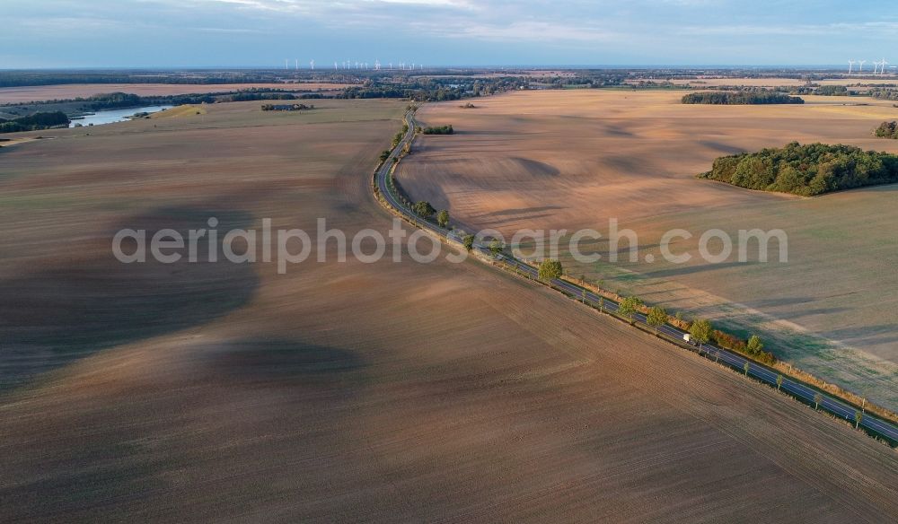 Lietzen from the bird's eye view: Row of trees in a field edge in Lietzen in the state Brandenburg, Germany